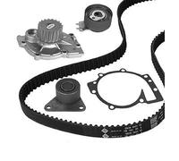 WATER PUMP & TIMING BELT KIT 30-1019-1
