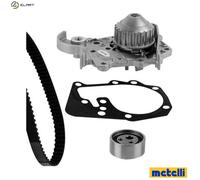 WATER PUMP & TIMING BELT KIT 30-1035-1 FOR RENAULT K7M703/702/790 1.6L 4cyl