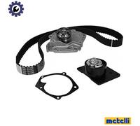 WATER PUMP & TIMING BELT KIT 30-1095-1 FOR RENAULT SCENIC/GRAND/III MEGANE/CC