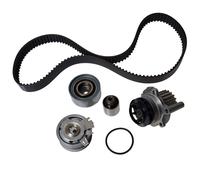Water Pump & Timing Belt Kit 30mm Width Fits Audi A3 Sportback - INA 530 0463 30