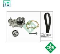 INA Water Pump & Timing Belt Kit 530 0191 31 - Tensioners & Belt - for Dacia Renault