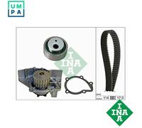 INA Water Pump & Timing Belt Kit 530 0258 30 for Citroën Peugeot Fiat