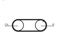 Timing Belt Kit + Water Pump CT704WP2PRO CONTINENTAL CTAM for AUDI VW VOLVO