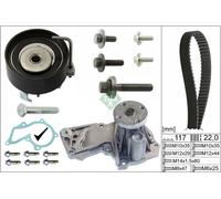 INA 530 0495 30 Water pump and timing belt kit