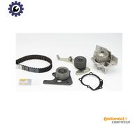 CONTITECH CT1061WP1 Water pump and timing belt kit