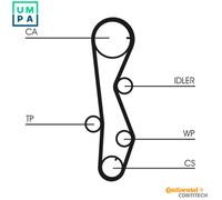 Timing Belt Kit + Water Pump CT1099WP1 CONTINENTAL CTAM for KIA HYUNDAI