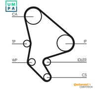 CONTITECH CT1100WP1 Water pump and timing belt kit