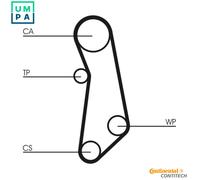 CONTITECH CT1114WP1 Water pump and timing belt kit