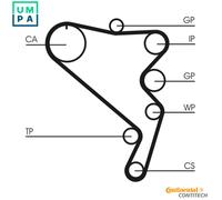 WATER PUMP & TIMING BELT KIT CT1120WP1 FOR VW CRAFTER/30-50/Platform/Chassis