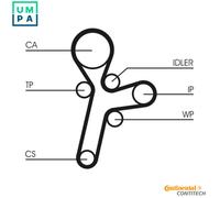 CONTITECH CT1121WP1 Water pump and timing belt kit