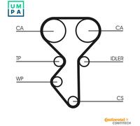 New Water Pump & Timing Belt Set for LADA:XRAY,VESTA,GRANTA,LARGUS,LARGUS Van