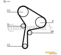 CONTITECH Water Pump + Timing Belt Kit RENAULT,SUZUKI CT1150WP1 119A09639R