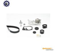 Timing Belt Kit + Water Pump CT1179WP4 CONTINENTAL CTAM for RENAULT MEGANE CC