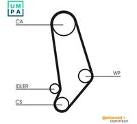 CONTITECH CT539WP1 Water pump and timing belt kit
