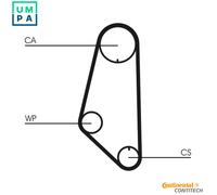 CONTITECH CT732WP1 Water pump and timing belt kit