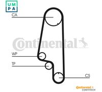 CONTITECH CT846WP4 Water pump and timing belt kit
