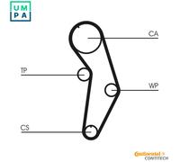 Timing Belt Kit + Water Pump CT908WP1 CONTINENTAL CTAM for VW AUDI SKODA SEAT