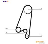 CONTITECH CT910WP1 Water pump and timing belt kit