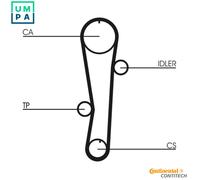 CONTITECH CT942WP1 Water pump and timing belt kit