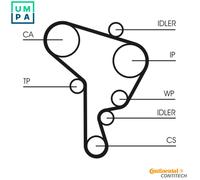 WATER PUMP & TIMING BELT KIT CT946WP2 FOR SKODA OCTAVIA/Van/Combi VW GOLF/Mk