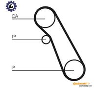 WATER PUMP & TIMING BELT KIT CT983WP1 FOR FORD MONDEO/IV/Turnier TRANSIT 1.8L