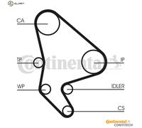 CONTITECH CT987WP2 Water pump and timing belt kit