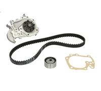 Water Pump & Timing Belt Kit INA 530 0018 30 RENAULT 19 I (B/C53_) 1.4 1989-1992