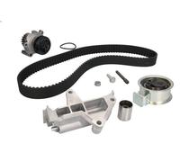 Water Pump & Timing Belt Kit INA 530 0090 30 for AUDI A3 (8L1) 1.9 2000-2003