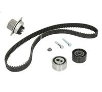 Water Pump & Timing Belt Kit INA 530 0119 30 for CITROEN AX (ZA-_) 1.5 1994-1997