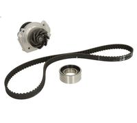 Water Pump & Timing Belt Kit INA 530 0205 30 for FIAT PANDA (141_) 1 1985-1992