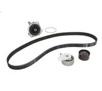 Water Pump & Timing Belt Kit INA 530 0225 30 for FIAT BRAVA (182_) 1.8 1995-2001