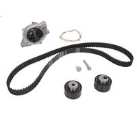 Water Pump & Timing Belt Kit INA 530 0234 30 for PEUGEOT 406 (8B) 2.2 2000-2004