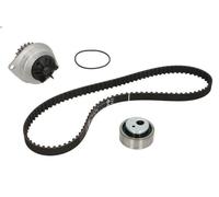 Timing Belt & Water Pump Kit 530025230 INA Set 0000082919 0000082954 081655 New