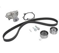 Water Pump & Timing Belt Kit INA 530 0338 30 for CORSA C (X01) 1.7 2000-2009