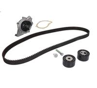 Water Pump & Timing Belt Kit INA 530 0368 30 PEUGEOT 607 (9D, 9U) 2.2 2000-2006