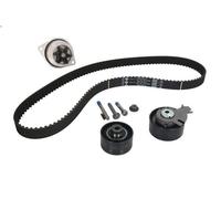 Water Pump & Timing Belt Kit INA 530 0379 30 for CITROEN C2 (JM_) 1.6 2003-2010