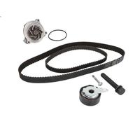 Water Pump & Timing Belt Kit INA 530 0406 30 for A6 C4 Avant (4A5) 2.5 1994-1997