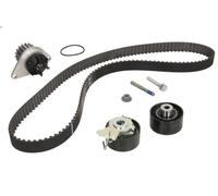 Water Pump & Timing Belt Kit INA 530 0419 30 for C2 (JM_) 1.4 2005-2009
