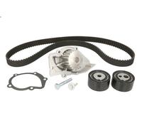 Water Pump & Timing Belt Kit INA 530 0474 30 for C3 II (SC_) 1.4 2009-2016