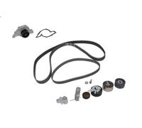 Water Pump & Timing Belt Kit INA 530 0539 30 for AUDI A4 B6 (8E2) 2.5 2001-2002