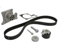 Water Pump & Timing Belt Kit INA 530 0607 30 for NISSAN JUKE (F15) 1.6 2010-2019