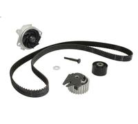 Water Pump & Timing Belt Kit INA 530 0623 30 for FIAT MAREA (185_) 1.9 1996-2002