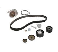 Water Pump & Timing Belt Kit INA 530 0638 30 for DUSTER (HS_) 2 2011-2018