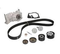 Water Pump & Timing Belt Kit INA 530 0639 30 for WIND (E4M_) 1.6 2010-2013