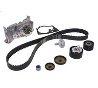 Water Pump & Timing Belt Kit INA 530 0640 30 for THALIA I (LB_) 1.6 2000-2009