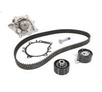 Water Pump & Timing Belt Kit INA 530 0691 30 for CITROEN DS5 2 2013-2015