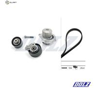 Fits DOLZ KD049 TIMING KPL. + WATER PUMP CITROEN Berlingo, C2, C3, C4, PEUGEOT