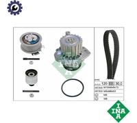 Timing Belt & Water Pump Kit 530020133 INA Set 038109119L 038109119N 038109119P