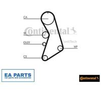 Water Pump & Timing Belt Set for AUDI A4 / S4 B5 CONTINENTAL CTAM CT909WP2