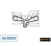 Water Pump & Timing Belt Set for AUDI A6 A8 CONTINENTAL CTAM CT920WP2